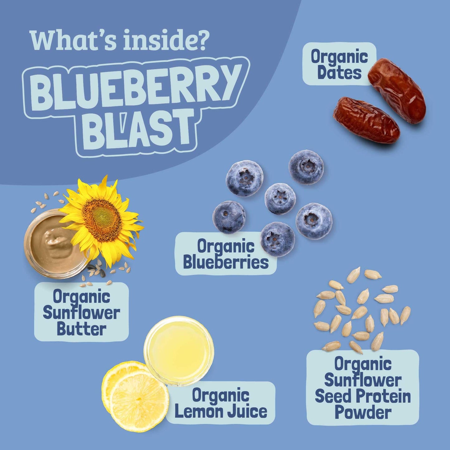 Skout Organic Blueberry Blast Kids Snack Bars - Plant-Based, Vegan, Gluten-Free, 36 Count