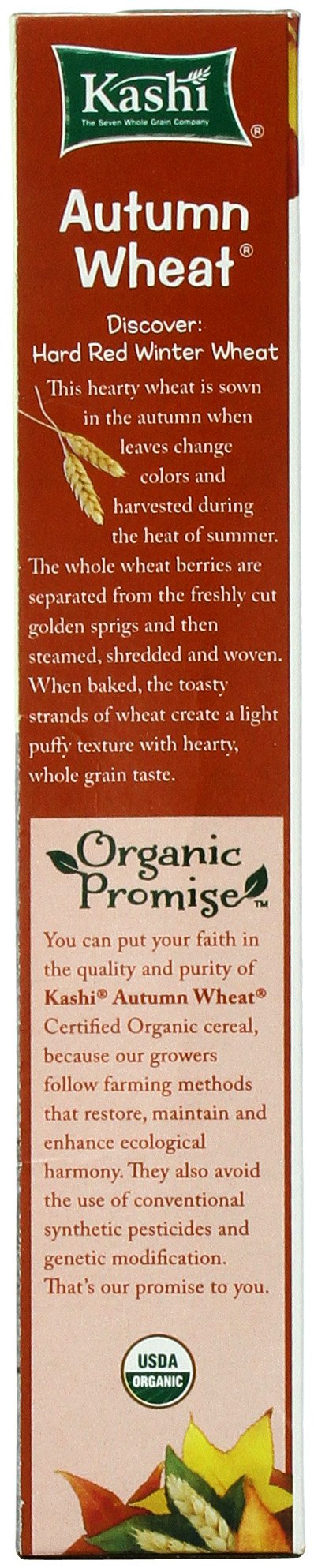 Kashi Go Cold Breakfast Cereal, Vegan Protein, Fiber Cereal, Peanut Butter Crunch, 13.2Oz Box (1 Box)