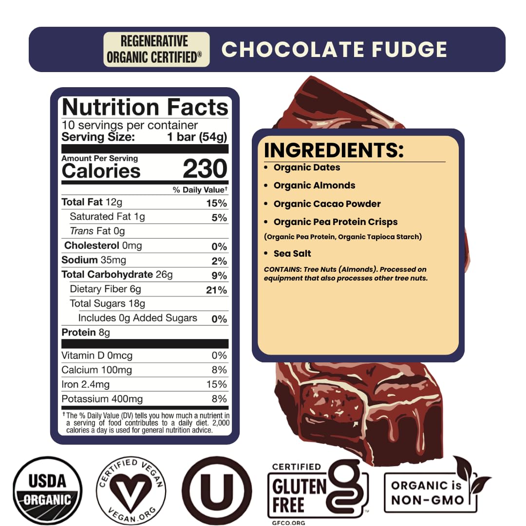 Bearded Brothers Organic Vegan Protein Energy Bars, Chocolate Fudge, Gluten Free, Paleo, 10 Pack