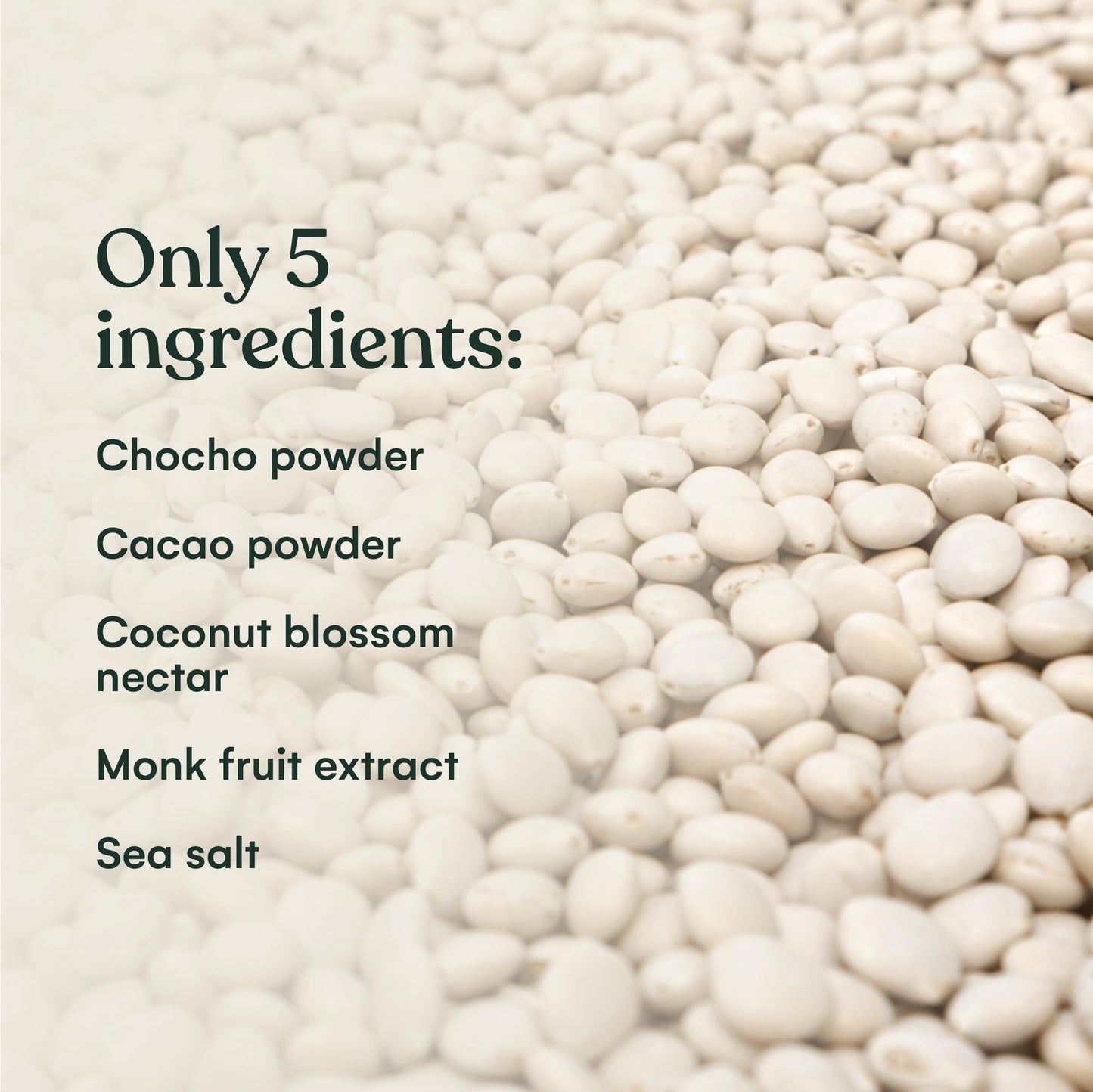 Mikuna Vegan Protein Powder (Cacao, 15 Servings) - Plant Based Chocho Superfood Protein - Dairy Free Protein Powder Packed with