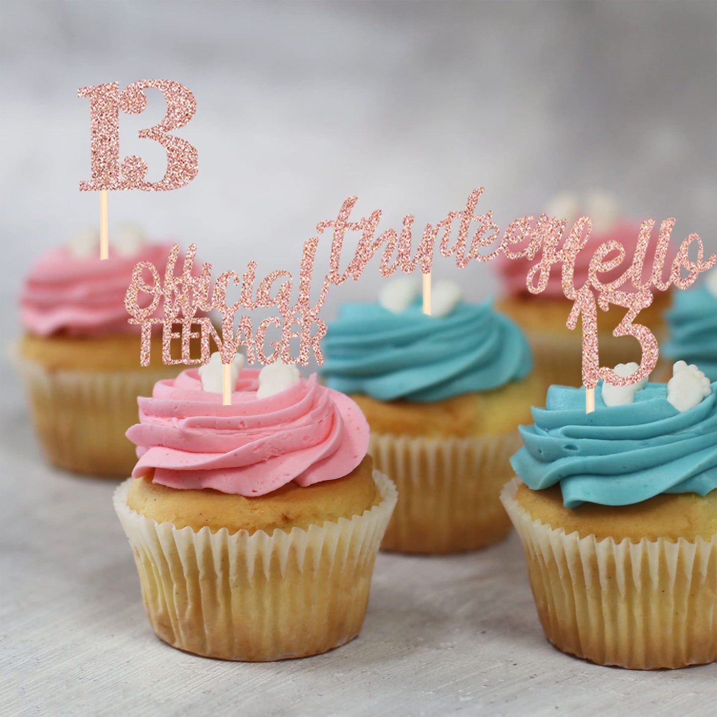 24 Pcs 13Th Birthday Cupcake Toppers Official Teenager Hello 13 Thirteen Cupcake Picks 13Th Birthday Cake Decorations Supplies R
