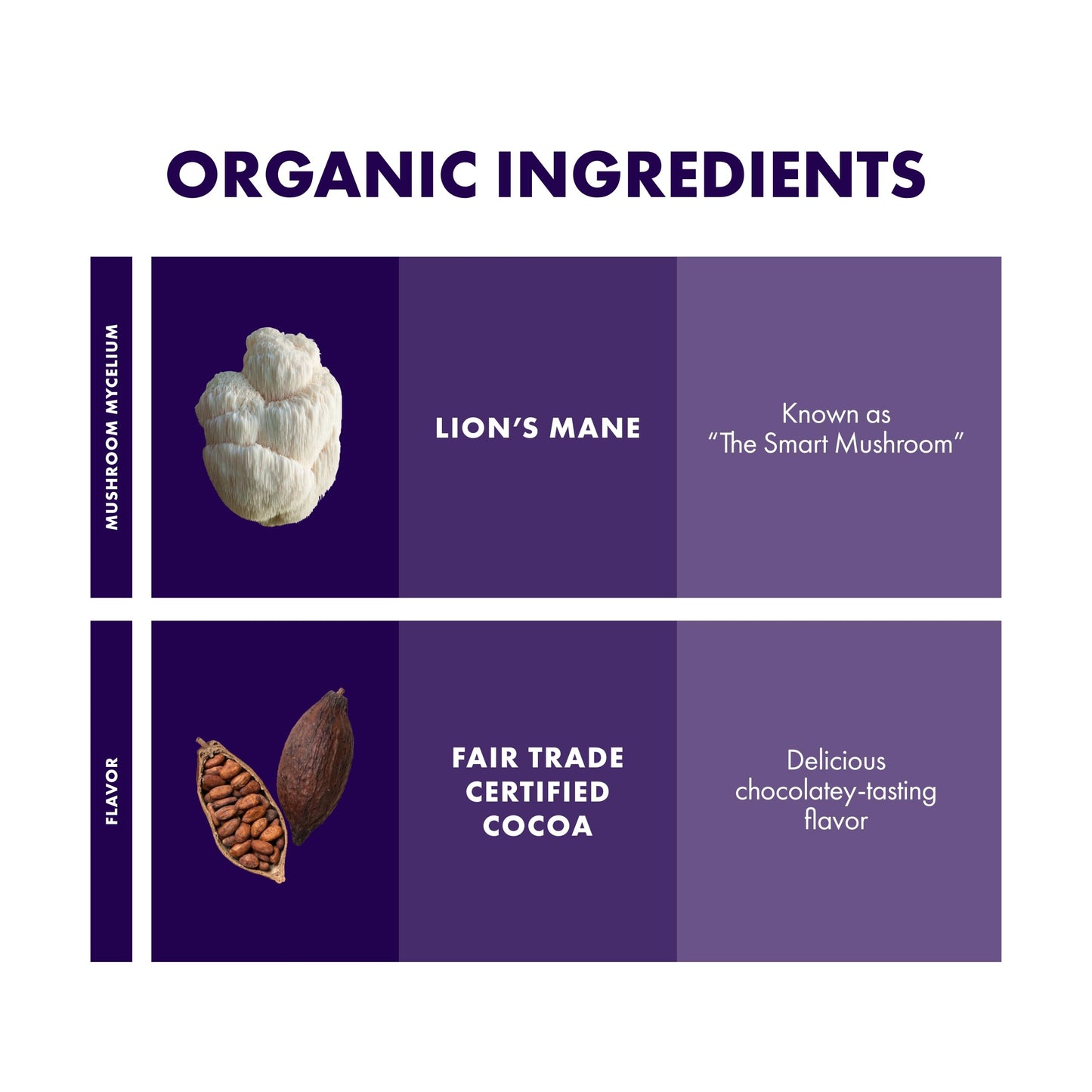 Host Defense Mycobrew Cocoa - Cocoa Powder Drink Mix Includes Lion'S Mane Mushroom - Superfood Powder Drink Mix With Fair Trade