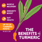 Zyn Turmeric Wellness Drink (6 Pack), Pomegranate Cranberry Flavored Turmeric Curcumin Drink With Black Pepper, No Added Sugar,