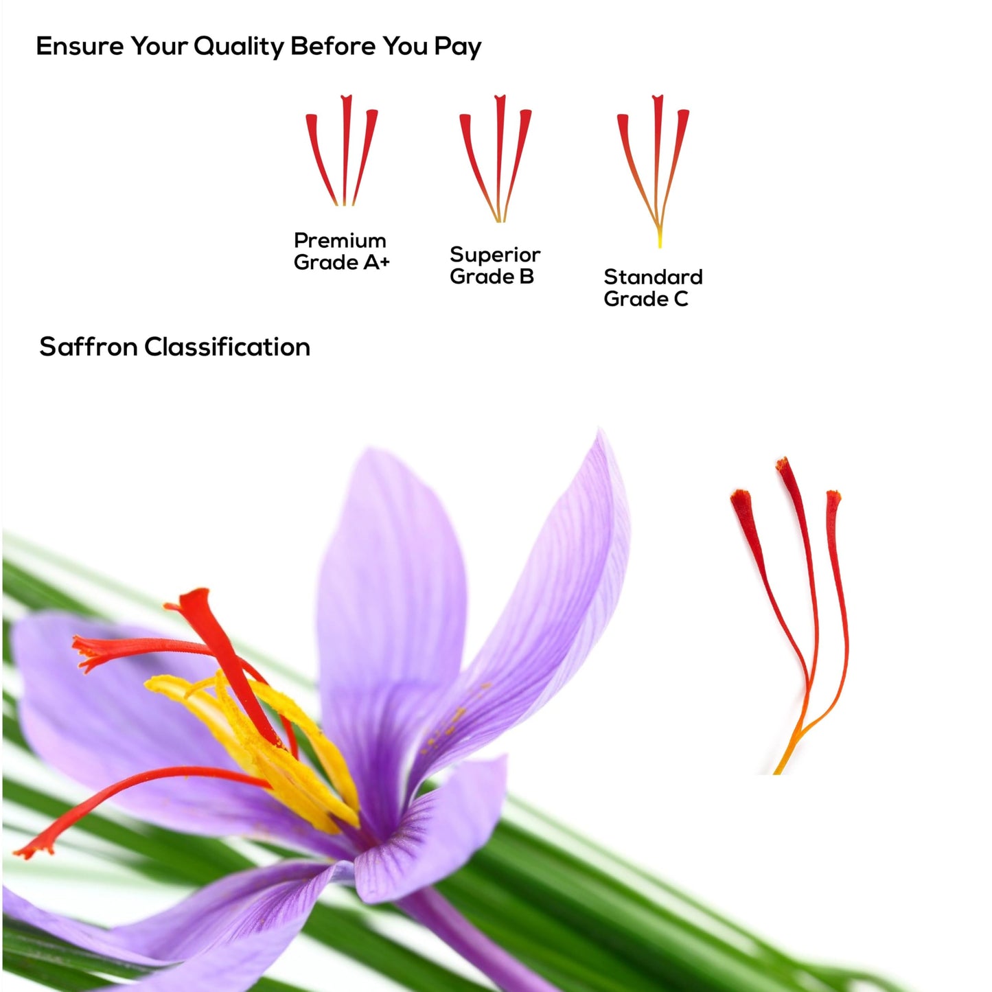 Premium Quality Saffron Threads 0.035 Ounce (1 Gram) | Awarded Among 300 Types Of Saffron | 100% Pure & Grade A+ | All Natural R