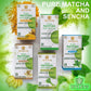 Hyleys Matcha Tea Bags with Turmeric - 300 Tea Bags (12 Pack) - Japanese Pure Matcha Wellness Green Tea