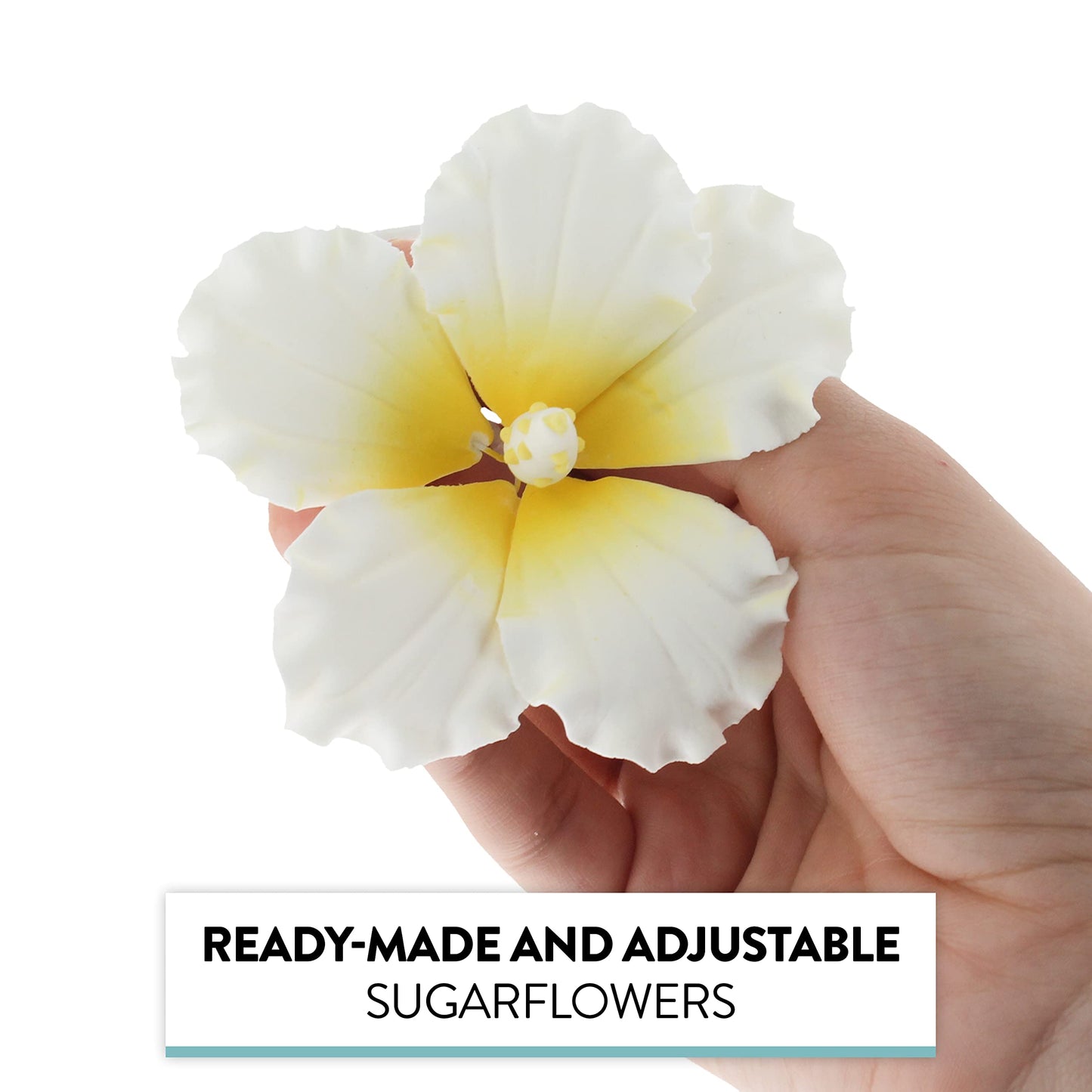 Global Sugar Art Hibiscus Sugar Cake Flowers, White with Yellow, Large 3 Count