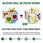 OLOVES Natural Whole Pitted Olives  24 Pack Variety  Basil & garlic, chili & Oregano, Lemon & Rosemary  Vegan, Kosher, gluten Fr