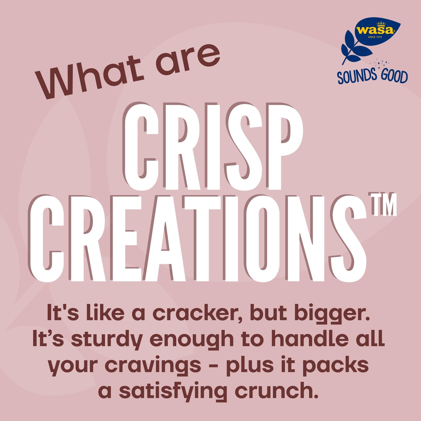 Wasa Cinnamon Crisp Creations, Large Round Toppable  ers, 9.4 oz. (Pack of 8)
