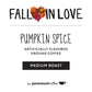 Paramount Roasters, Fall In Love Pumpkin Spice Flavored Coffee,1-12 Ounce Ground Package