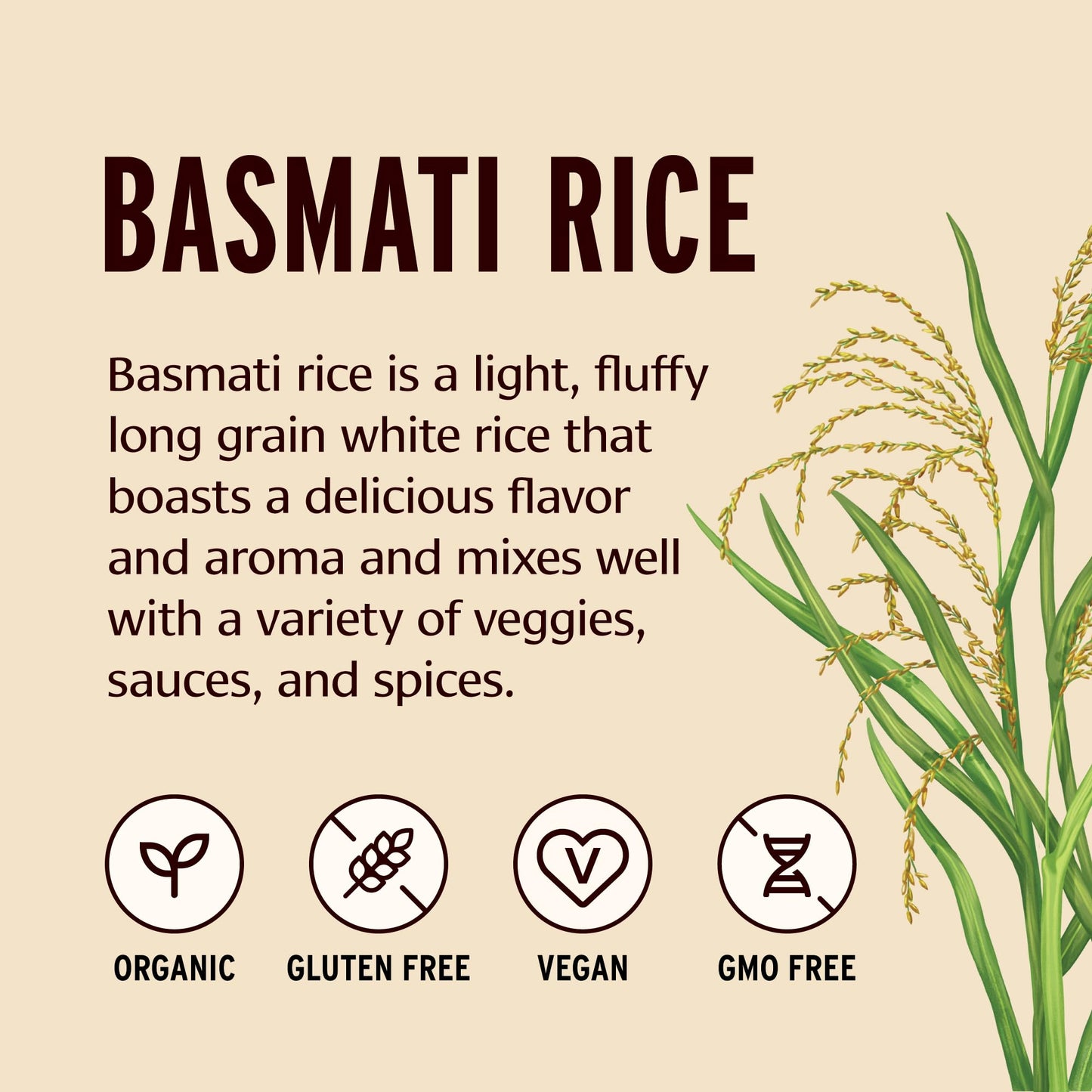 Banyan Botanicals White Basmati Rice - Organic & Pure Basmati Rice for Cooking Healthy Meals and Making Kitchari - With Resealab