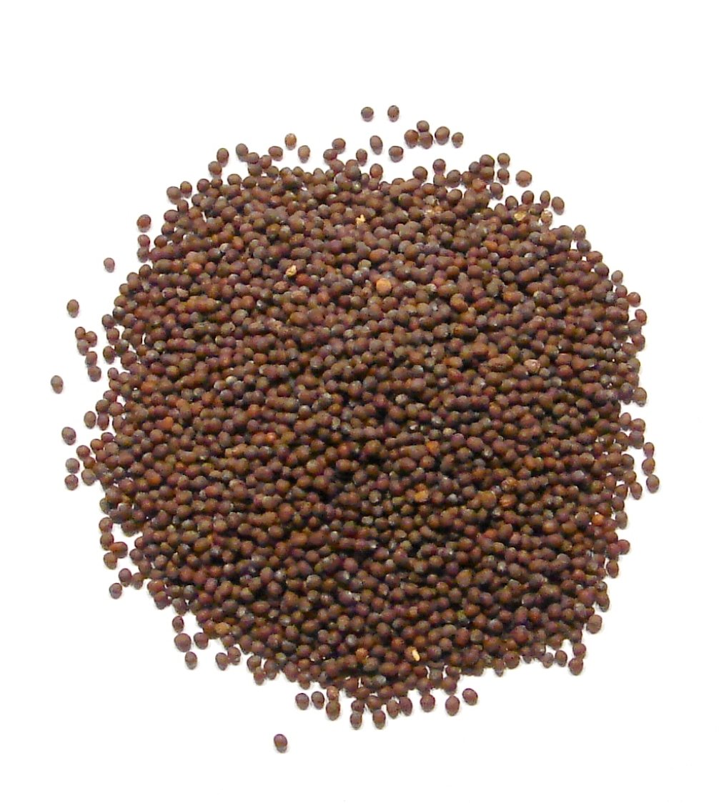 Laxmi All-Natural Gourmet Mustard Seeds - 7Oz