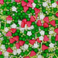 Strawberry Sprinkles Candy Mix Size Edible Pearls Cake Decorations Cupcake Toppers Cookie Decorating Perfect For Wedding Party V