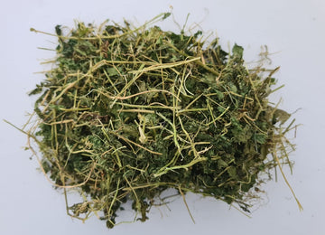 Cerasse Tea, Bitter Melon Bush Tea 0.75Oz. Buy More Save More, 3Pack And 5Pack Option. Wildcrafted, Natural, Fresh, Selected By