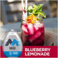 Mio Liquid Water Enhancer,1.62 Fluid Ounce (Blueberry Lemonade, Pack - 6)