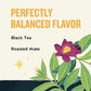 Celestial Seasonings Morning Thunder Black Tea, Caffeinated, 20 Tea Bags Box (Pack of 6)