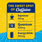 Quantum Energy Square: Energy Bar With Caffeine & 10G Protein. Delicious Healthy Snack On The Go. (Vegan, Gluten-Free, Soy-Free, Dairy-Free) (Peanut Butter Dark Chocolate)