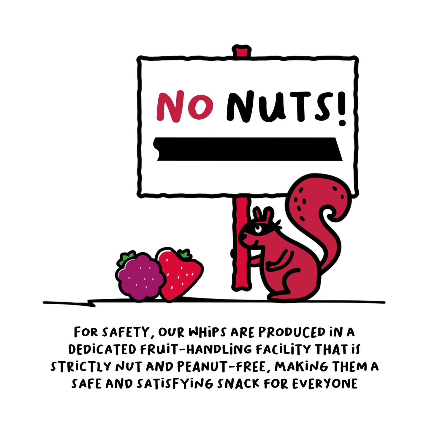 The Froot Thief Real Fruit Snack Whips, Strawberry, Nut Free, Perfect For School Lunches And Snacks, Individual Bags Kids Snacks