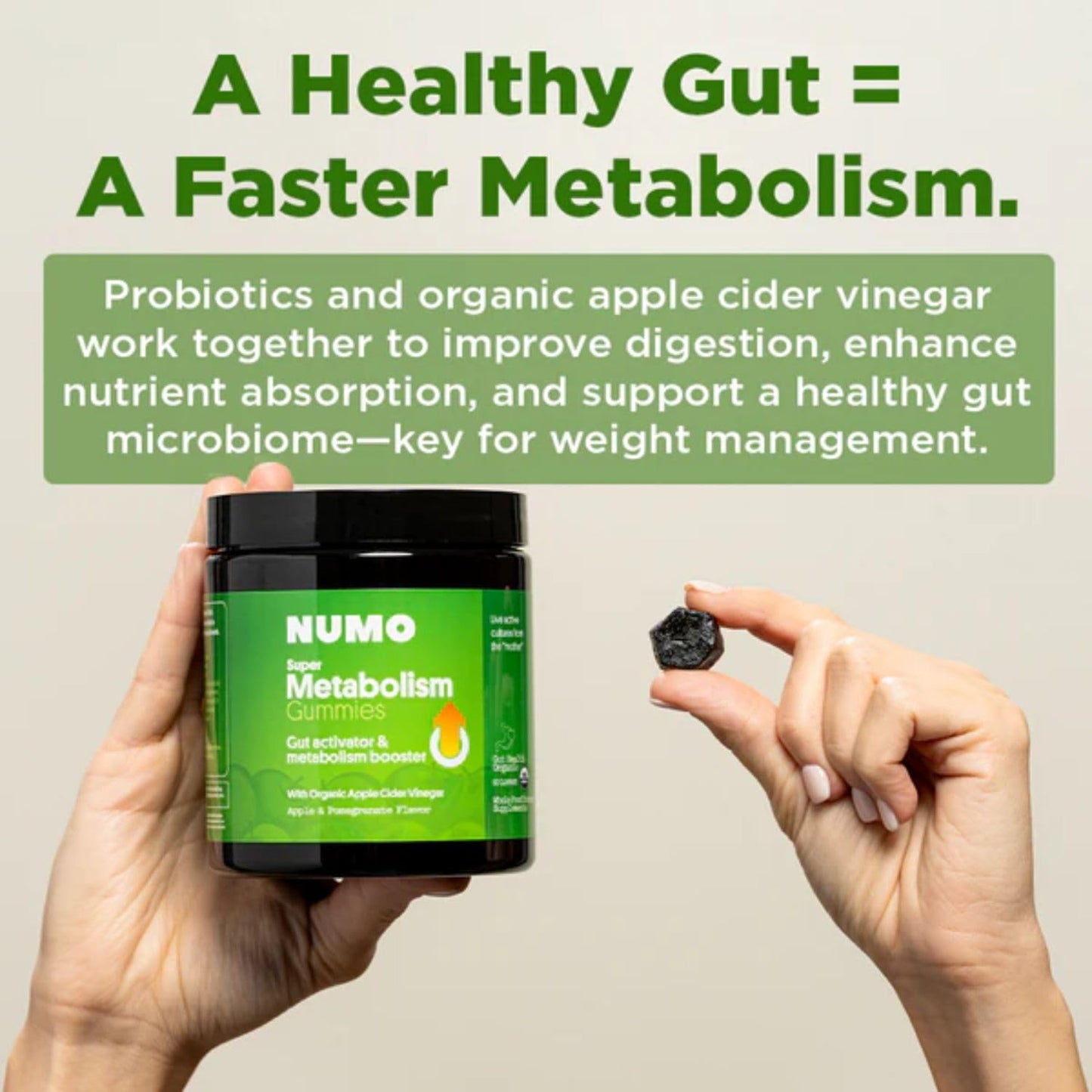 Numo Apple Cider Vinegar Gummies with Probiotics, Folic Acid, MCT Oil, Vitamin B12 - 60 Count, Pomegranate Flavor