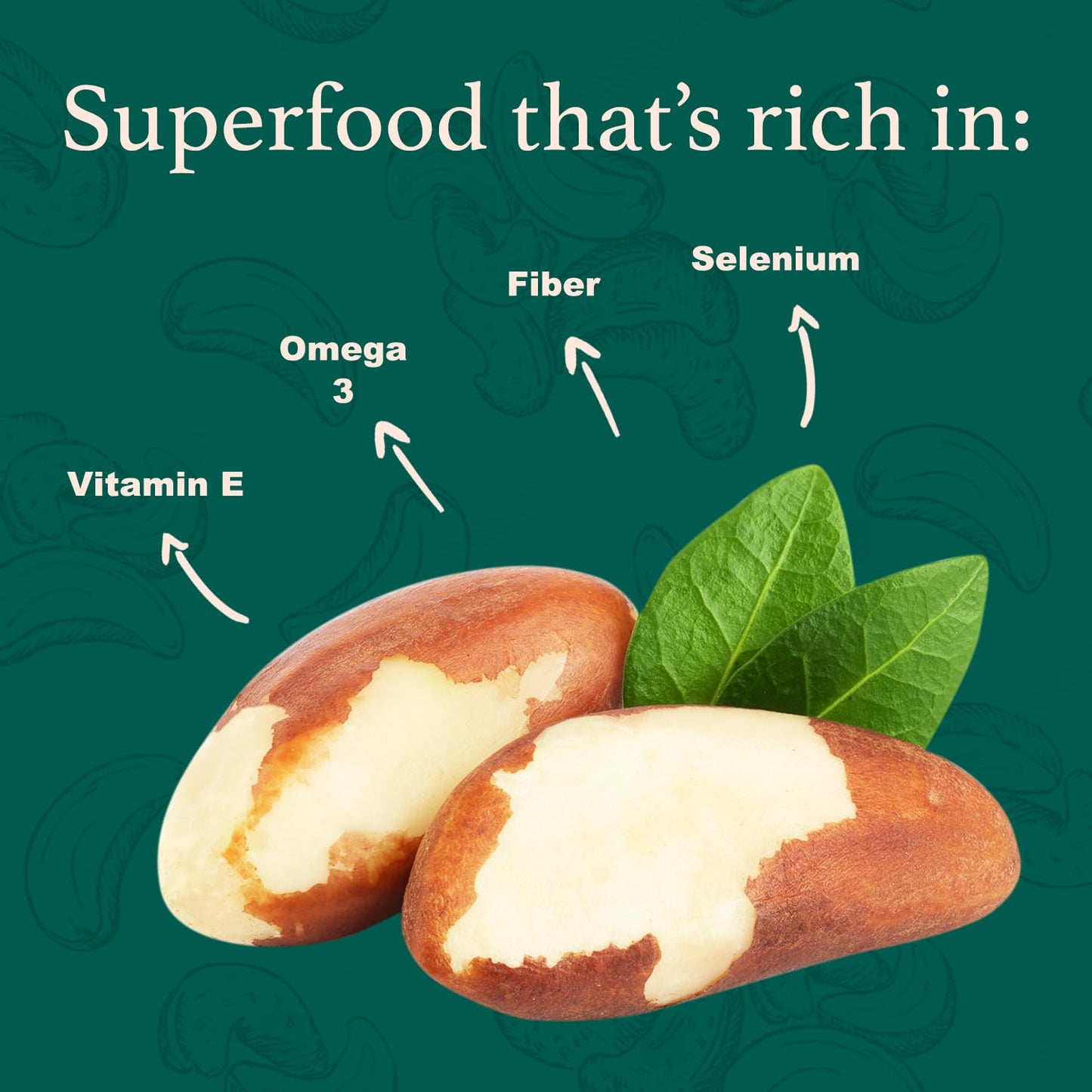 Im A Nut Raw Brazil Nuts, 16 oz, Non-GMO, Vegan, Gluten-Free, Resealable Bag