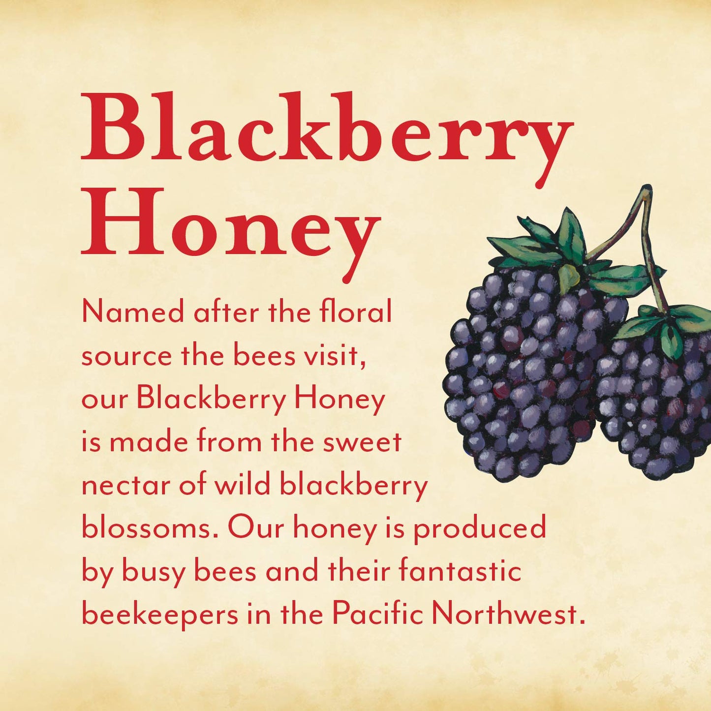 Oregon Growers Raw & Unfiltered Blackberry Honey - Organic Honey, 18 Oz
