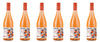 Santat Spritz Sparkling Orange Bitter Apéritif Non-Alcoholic 750ml Pack of 6 Imported from France