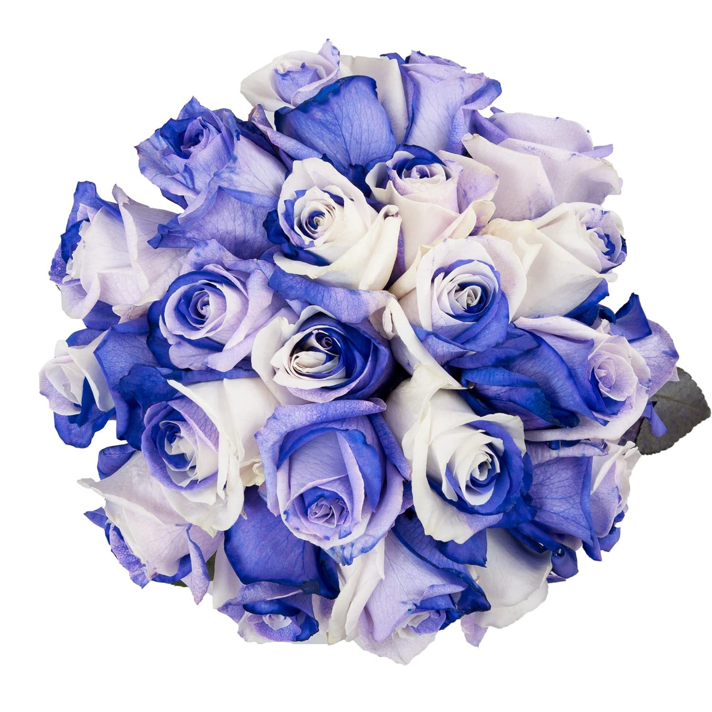 Blommingmore | Farm Fresh Natural | Tinted Purple And White Roses | 50 Stems | Home, Office, Wedding Decor, Diy, Party Event, Ho