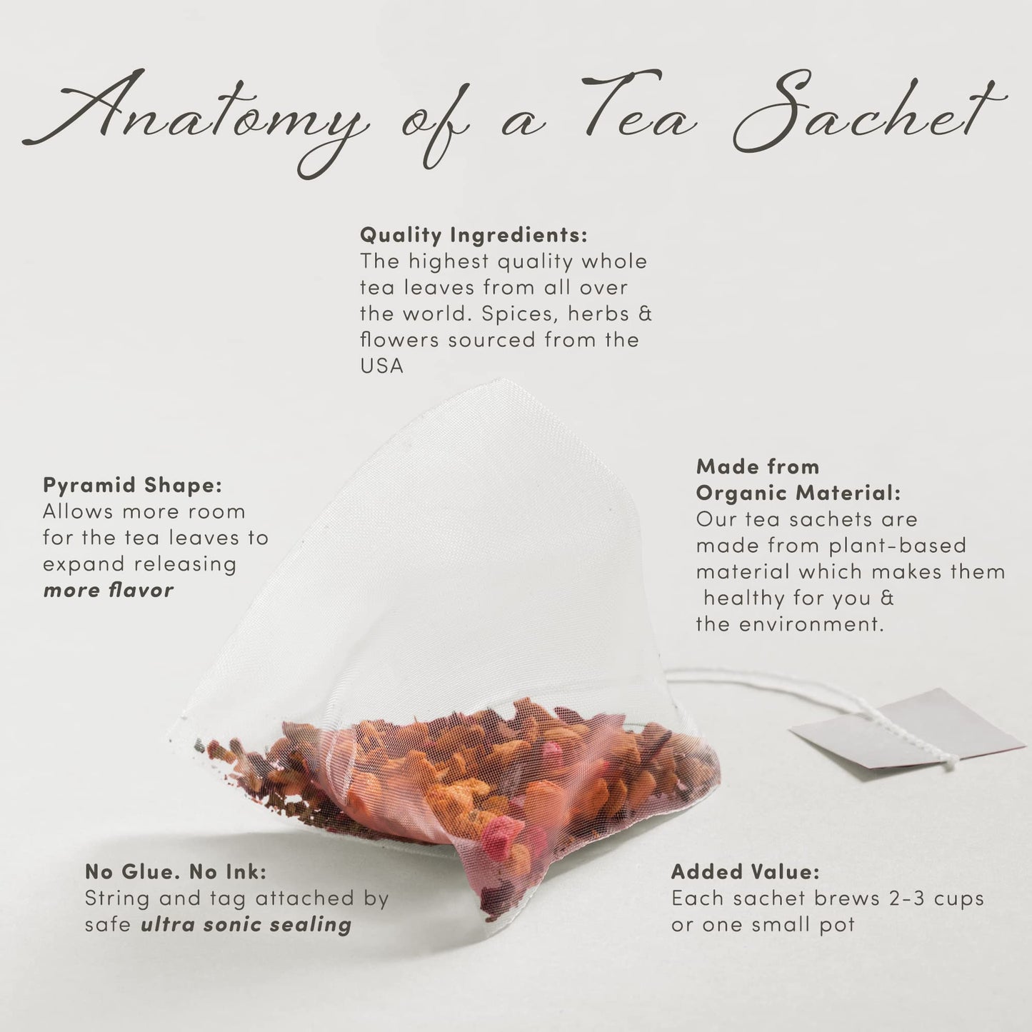 La Tea Dah Halloween Gift Basket, Warm Apple Cider Tea, Pumpkin Spice Tea, 0.349 kg, Non-Candy Gourmet