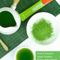 Teelux Matcha Green Tea Powder, Premium First Harvest Culinary Grade Matcha Single Serve Packets, Unsweetened Matcha Powder Trav