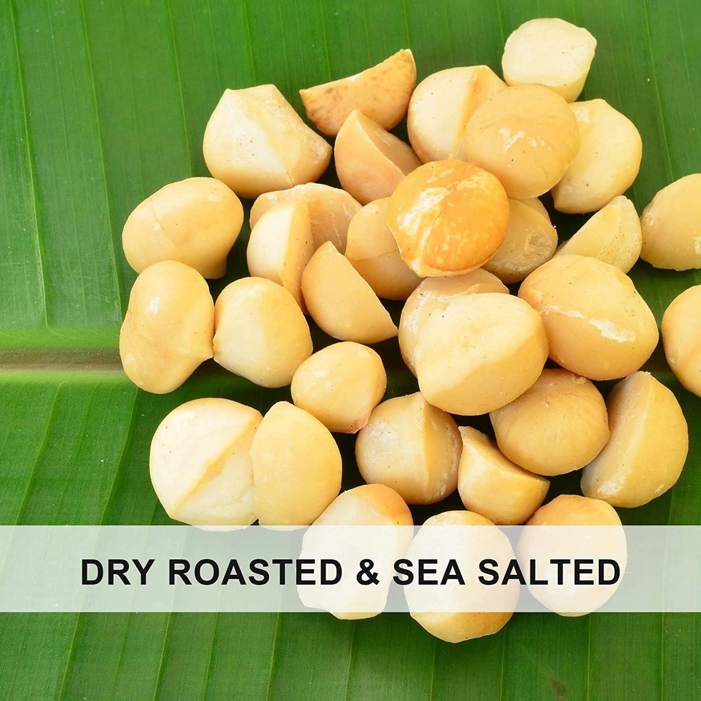 Fruidles Roasted & Salted Macadamia Raw Nuts, Natural Non-Gmo, Gluten-Free, Healthy Fat, Emergency, Survival Food, 2-Pounds