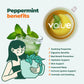 Aprika Life 100% Pure Peppermint Tea Bags, Caffeine-Free, 60 Count, Peppermint Flavor, Model AL-PMT01