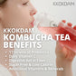 Kkokdam Kombucha Tea 15 Packs - Orange & Marigold Korean Tea - Kombucha Drinks Probiotic Support, Low Calorie, Sugar Free Kombuc