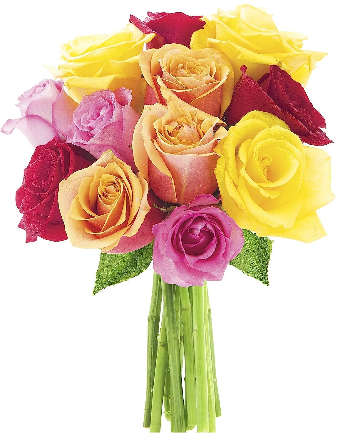 KaBloom Flowers - Mother's Day Collection - PREMIUM 12 Assorted Roses with Greens Without Vase - Gift for Birthday, Anniversary,