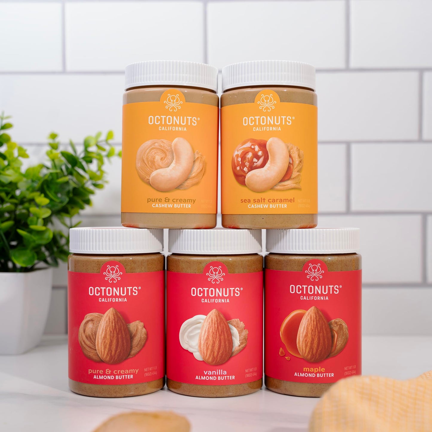 Octonuts Dry Roasted Sea Salt Caramel Cashew 16oz Nut Butter - Pure Creamy Nut Butter - Delicious Foods - Gluten Free, Vegan, Ko