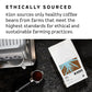 Kion Organic Coffee | Tested For Toxins | Roasted To Maximize Health And Taste | Whole Bean Dark Roast 12 Oz (3 Pack)