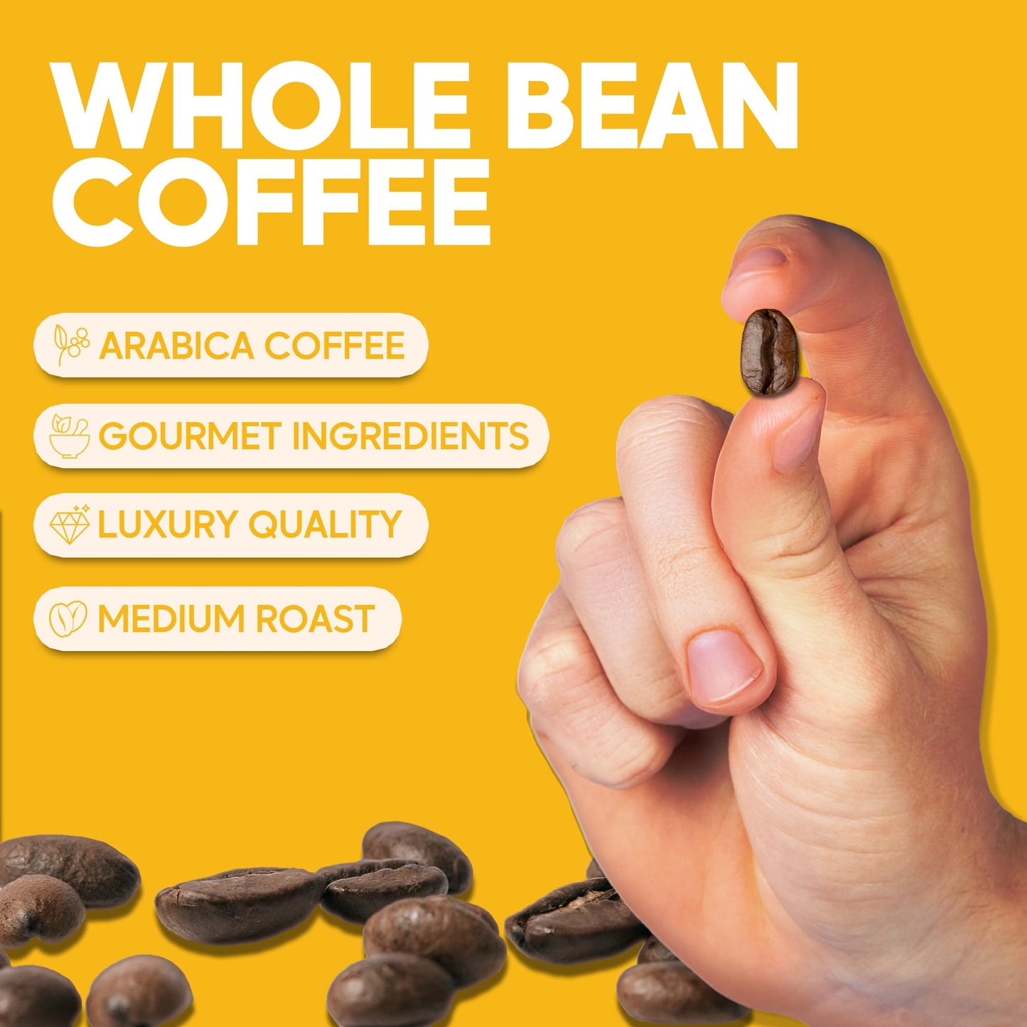 Sarasota Coffee Whole Bean Signature House Breakfast Blend | Medium Roast Gourmet Coffee Beans | Low Acid, Mold Free, Specialty