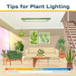 Costa Farms Fiddle Leaf Fig Tree Live Plant in Decorative Pot, Large Indoor Houseplant, Perfect for Home, Room, or Office Decor,