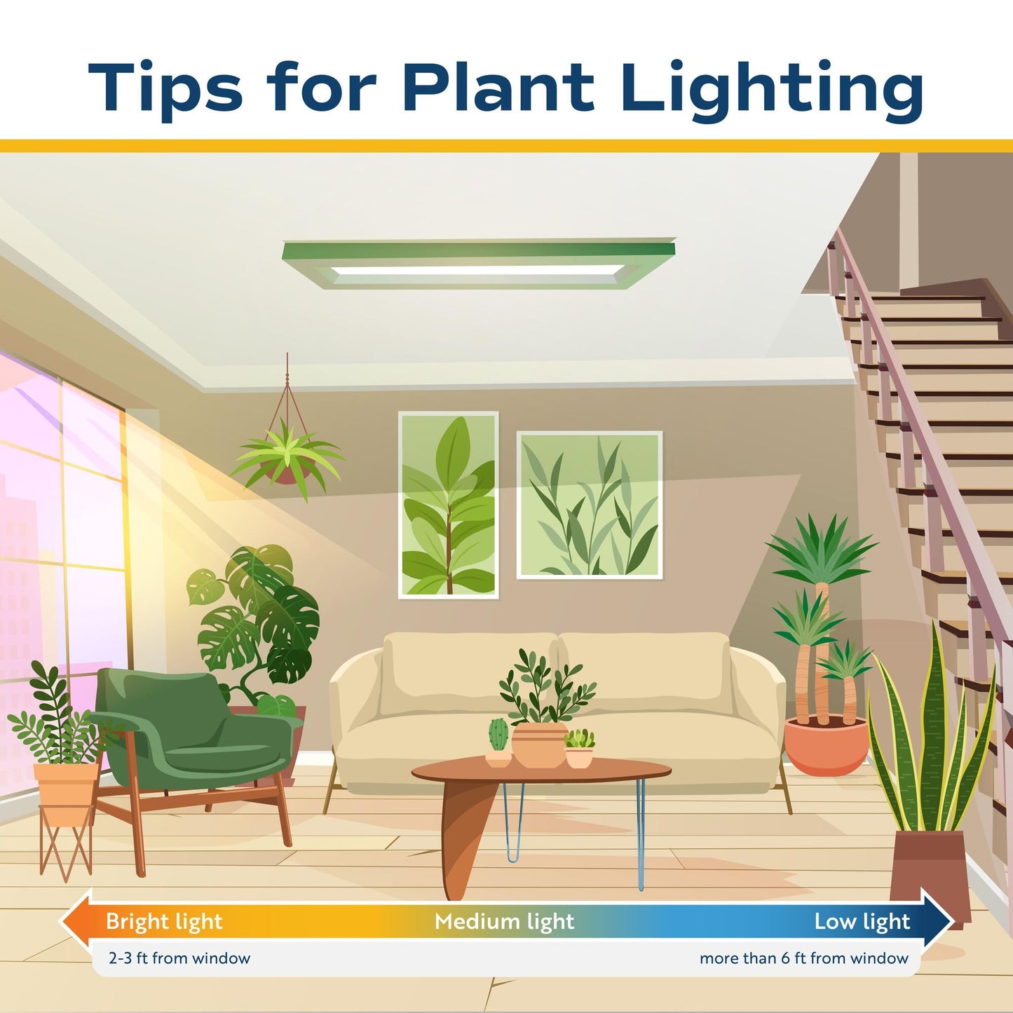 Costa Farms Dieffenbachia, Dumb Cane Live Plant in Decorative Pot, Easy to Maintain Indoor Houseplant, Perfect for Home, Room, o