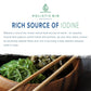 Holistic Bin Dried Wakame Sea Flakes | Organic Dry Sea for Miso Soup  Ramen  Sea Salad  and More | Wild Harvested Atlantic Wakame Flakes | Sun Dried  Non GMO