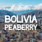Volcanica Coffee Bolivia Peaberry Coffee, Ground, Fresh Roasted, 16 oz, Brown