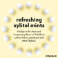 Xyloburst - Xylitol Mints | Sugar Free Breath Freshener For Oral Health | Gluten Free, Vegan, Keto Friendly | Aspartame Free | L