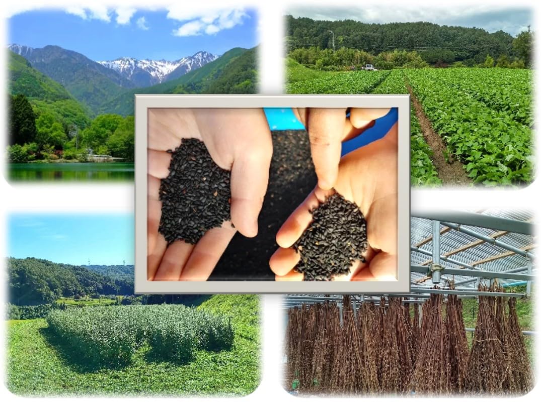 Sesame Oil Premium Black 1.8 Oz. (50G) - Kyoto X Shinshu Edition | Handcrafted By Japanese Artisans With Rare Sesame Seeds (Regu