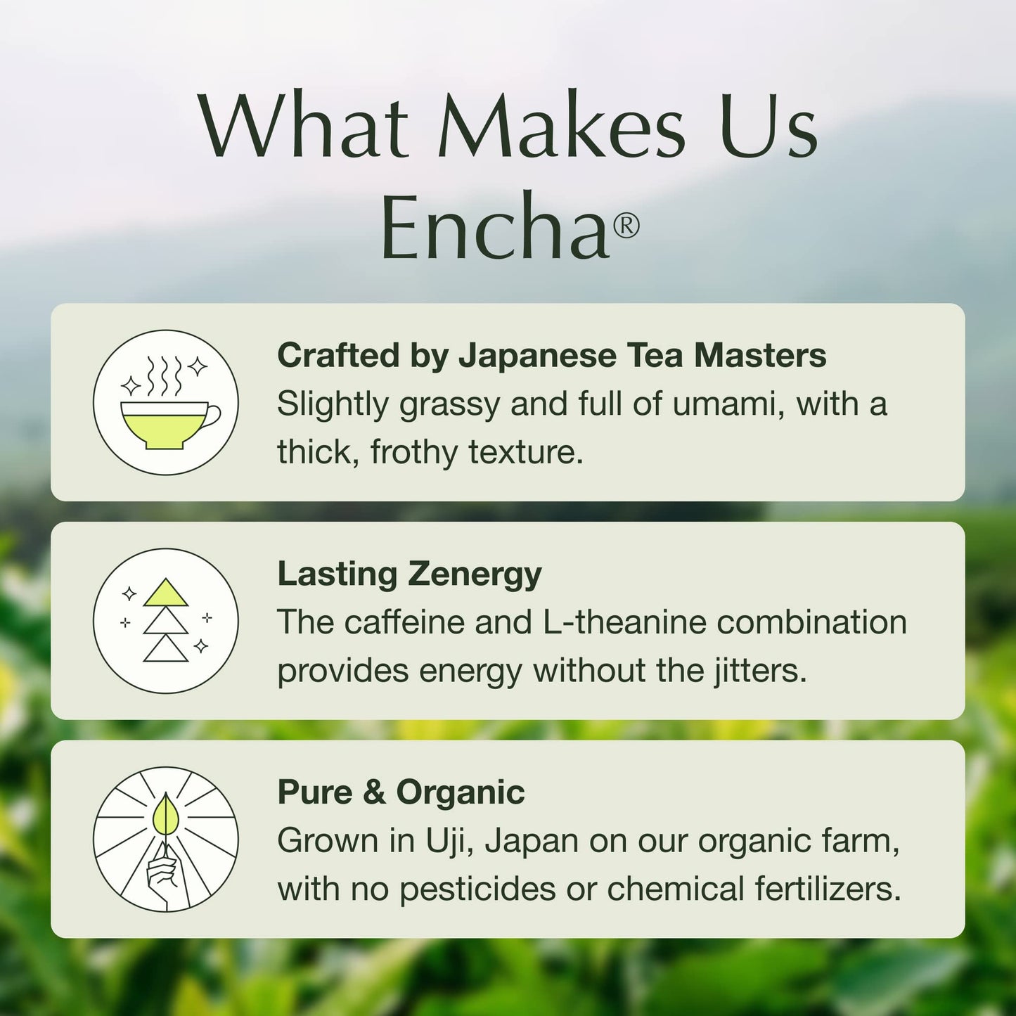 Encha Ceremonial Grade Matcha Powder, Organic First Harvest, 30g/1.06oz, Green Tea from Uji, Japan, Organic Ceremonial