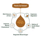 Spice Drop Cumin Natural Extract For Food, Beverages, And Dessert |100% Natural | For Authentic Taste And Aromatic Flavor | Natu