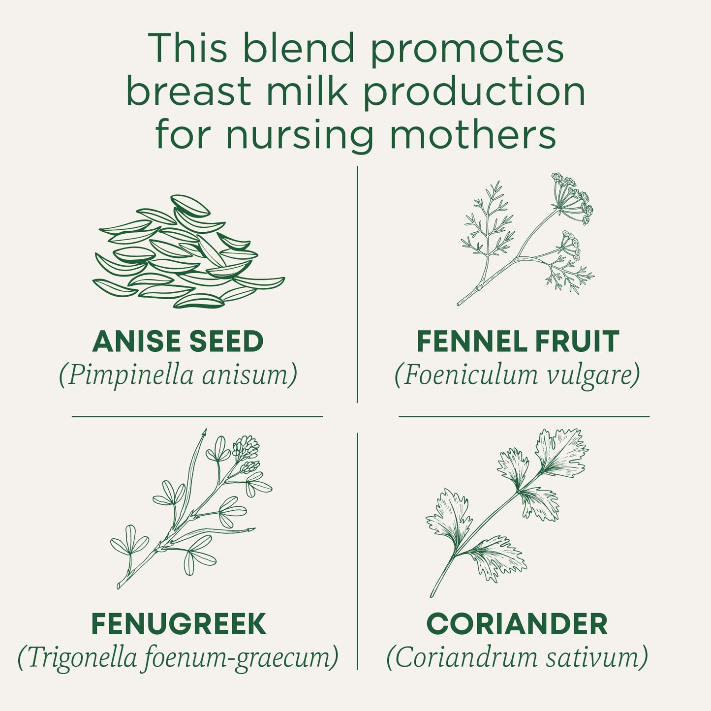 Traditional Medicinals Organic Mother'S Milk Women'S Tea, Promotes Healthy Lactation - 48 Tea Bags