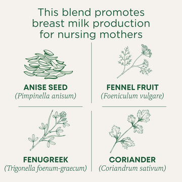 Traditional Medicinals Tea, Organic Mother'S Milk, Promotes Healthy Lactation, Breastfeeding Support, 32 Tea Bags