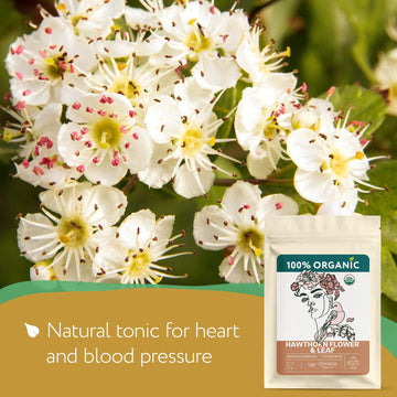 Hawthorn Leaf & Flower Tea Organic (4Oz.) - Loose Hawthorne Tea For Blood Pressure Balance, Cardiovascular Health, Heart Support