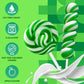 EORA 32 Pack Twist & Swirl Lollipops Green Apple Flavor Individually Wrapped Candy Bulk, St. Patricks Day, Green & White