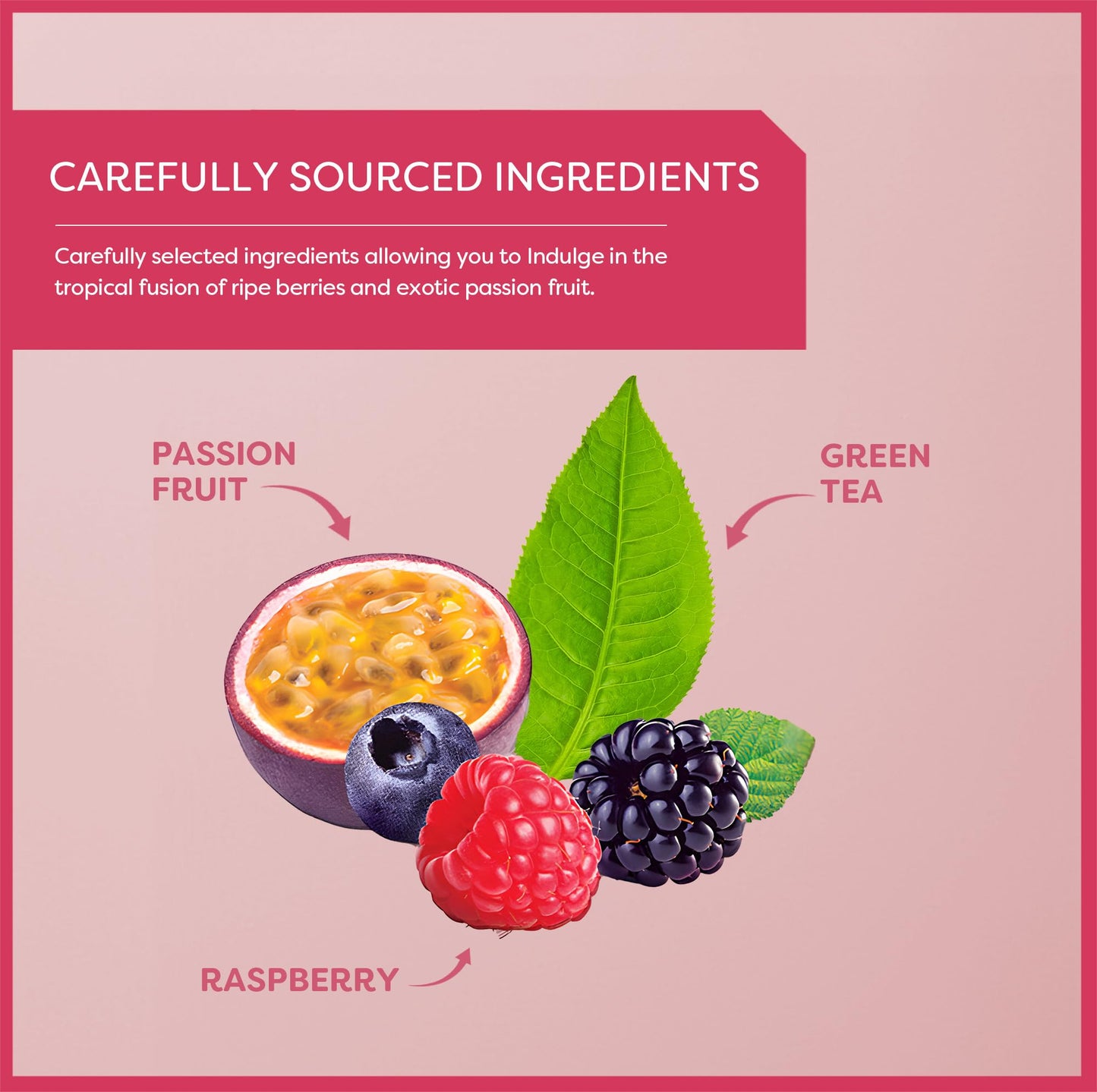 Wissotzky Wild Berries & Passion Fruit Green Tea (3 Pack - 60 Tea Bags) | Antioxidant Rich | Tropical Blend Green Tea Bags