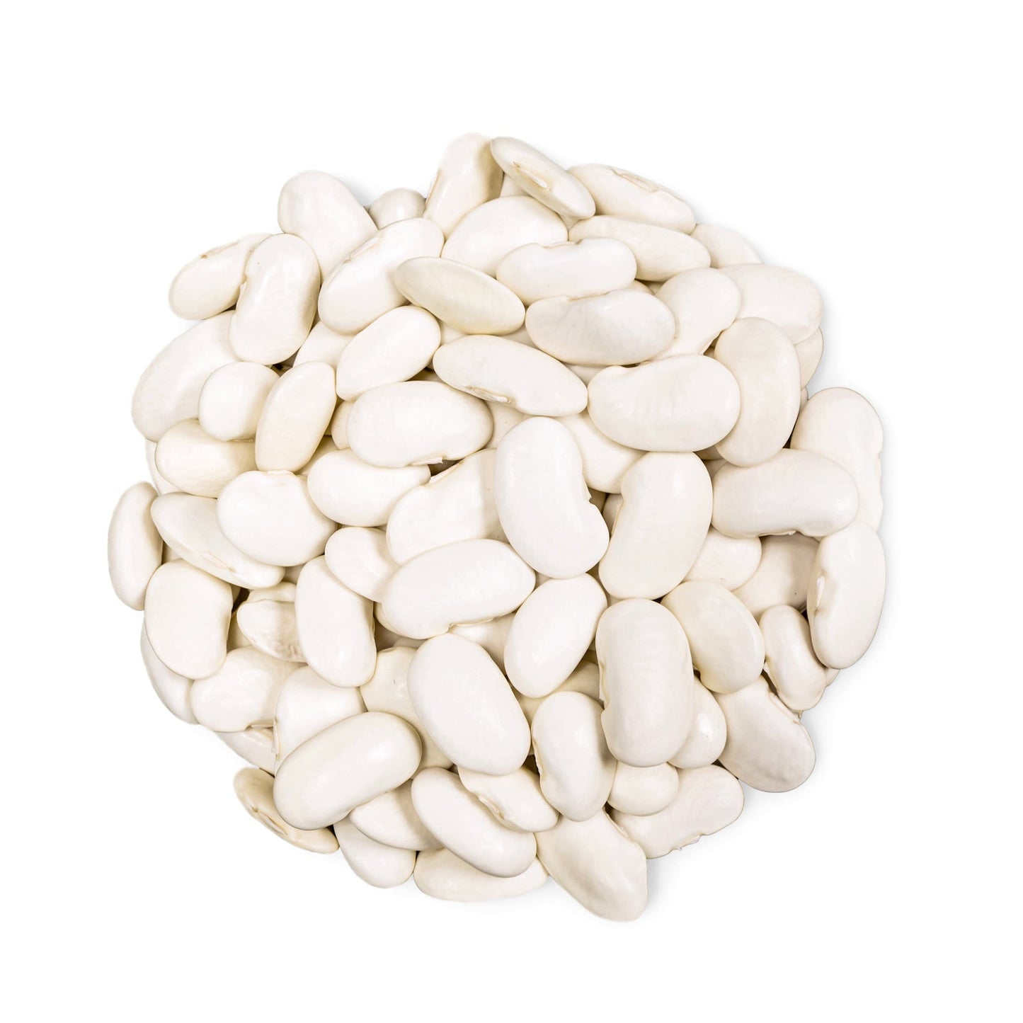 Food To Live Organic Large White Kidney Beans, 1.5 Pounds Whole Raw Dried Beans, Vegan, Kosher, Bulk. Rich In Dietary Fiber And