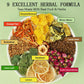 Regpem Winter Melon Lotus Leaf Tea - 20 Bags/Box, Herbal Teabag with Natural Blend, Chrysanthemum & Wax Gourd Ingredients